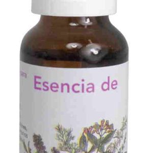 ACEITE ESENCIAL DE  EUCALIPTUS