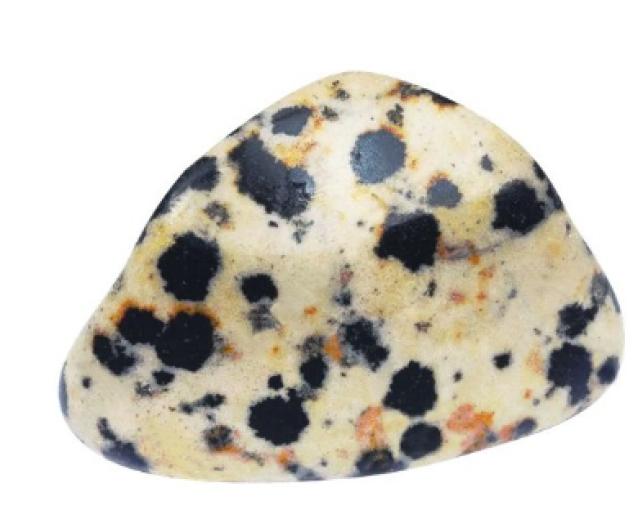 PIEDRA JASPE DALMATA - Imagen 2