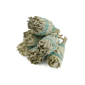 Incienso Antorcha de Salvia Blanca Californiana (Salvia Apiana)