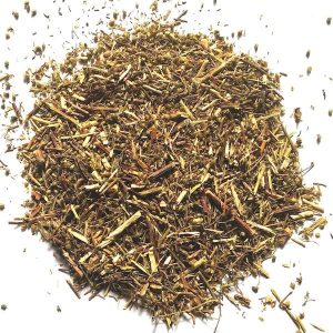 Artemisa, planta cortada (Artemisia vulgaris) BIO