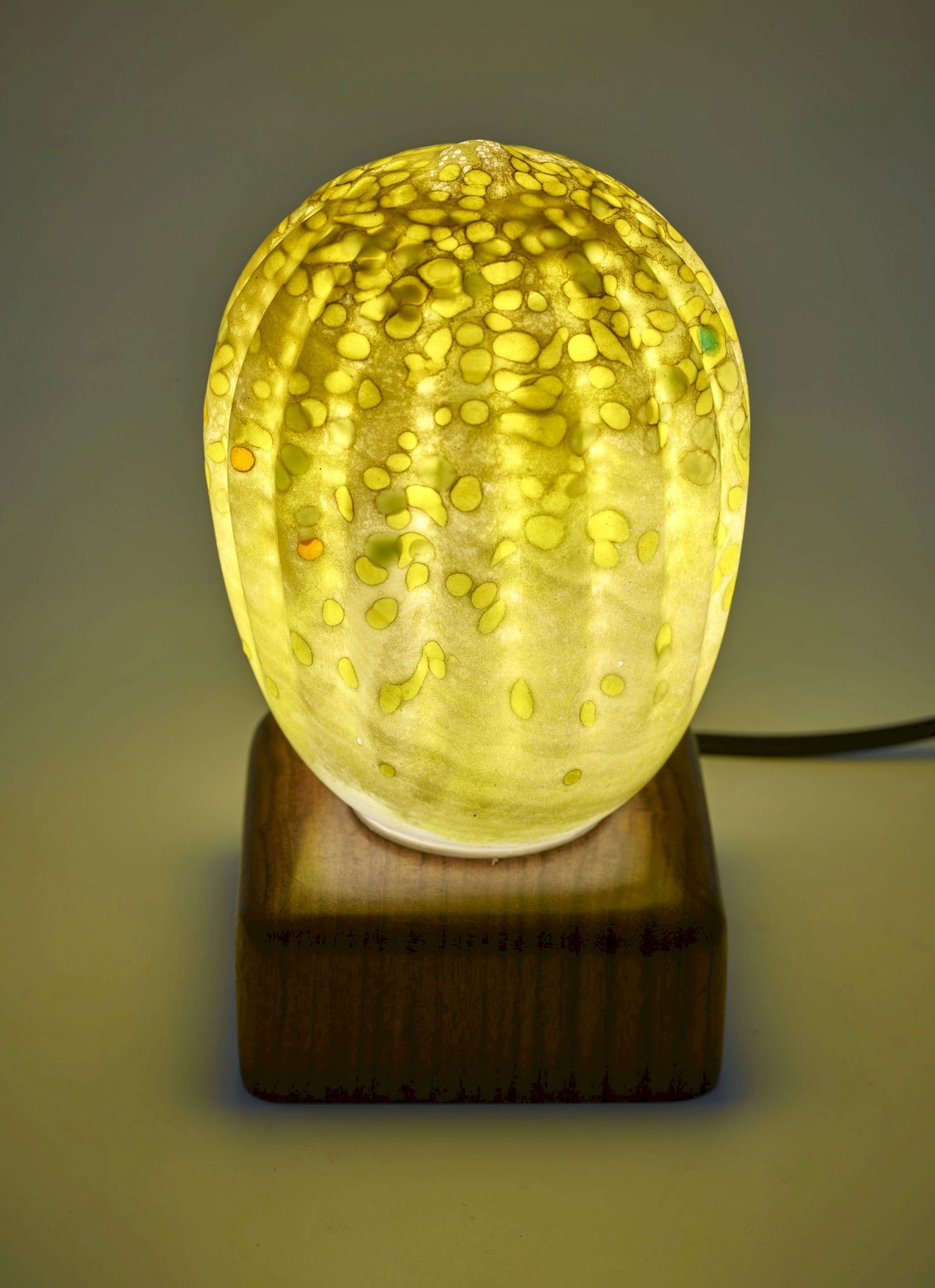 Cactus con base de madera